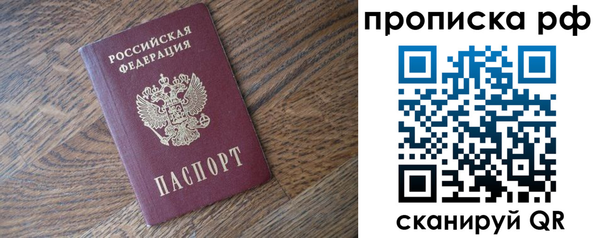 прописка поиск в Ростове-на-Дону
